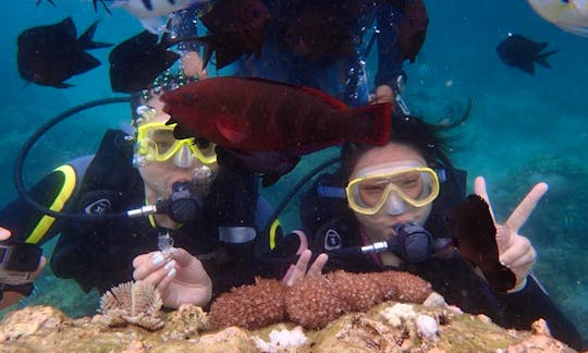 Enjoy Diving Trips in Boracay Island, Philippines