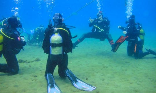 Diving Courses in Canarias, Spain