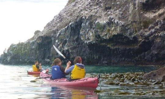 Enjoy Kayak Tours in Otago, New Zealand