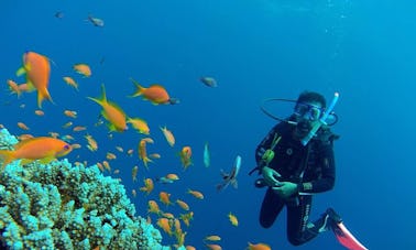 Scuba Diving Experience and PADI Scuba Dive Courses in South Sinai Governorate, Egypt