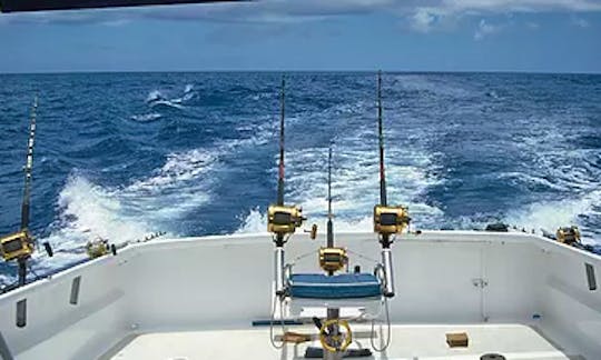 Enjoy Fishing in Le Morne, Mauritius with Captain Billy