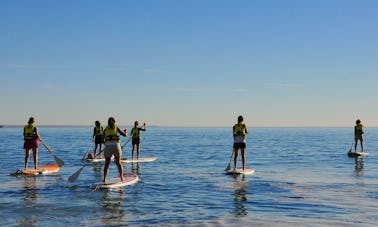 Aluguel de pranchas de remo e aulas em Puerto Madryn, Argentina