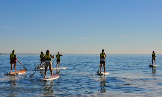 Location et cours de paddleboard à Puerto Madryn, Argentine