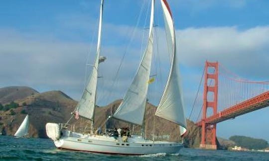runs down wind under the Golden Gate bridge