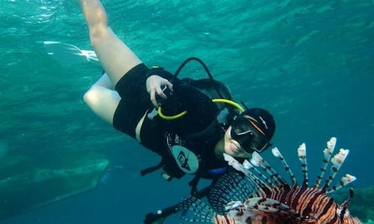 Disfruta de viajes de buceo en Wakatobi, Indonesia