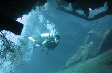 Enjoy Diving Trips in Bali, Indonesia