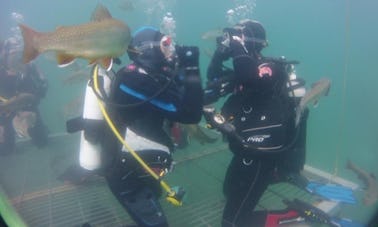 Diving Trips and Courses in Vordernberg, Austria
