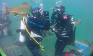 Diving Trips and Courses in Vordernberg, Austria