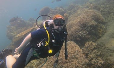 Enjoy Diving Trips at Amed Beach, Bali