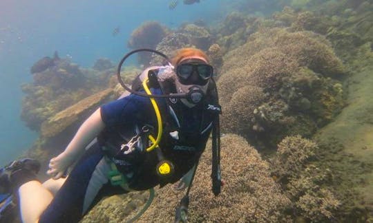 Enjoy Diving Trips at Amed Beach, Bali