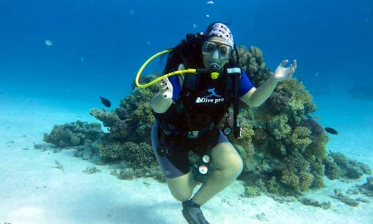 Enjoy Diving Trips and Courses in Hurghada, Egypt