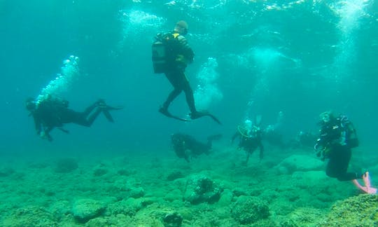 Diving Service Provider in Nea Skioni, Greece