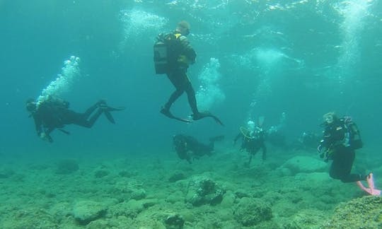 Diving Service Provider in Nea Skioni, Greece