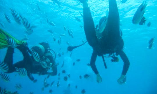 Diving Courses in Trou-aux-Biches, Mauritius