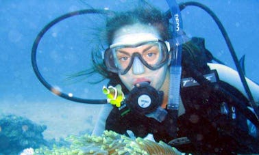 Diving Courses in Trou-aux-Biches, Mauritius