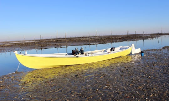 Discover the Bay of Arcachon, France on a Tradional Boat