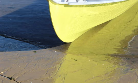 Discover the Bay of Arcachon, France on a Tradional Boat