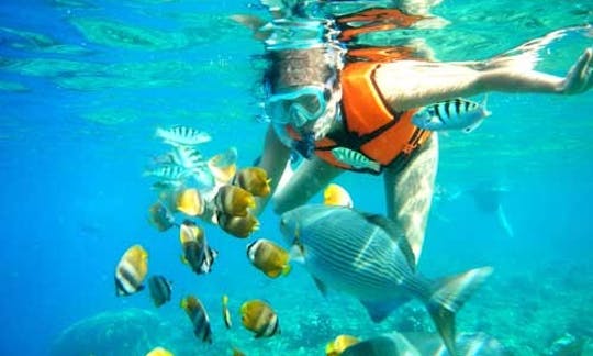 Tours de snorkel inolvidables en Surabaya, Indonesia