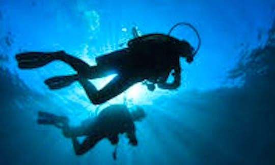 Diving Courses in Selangor, Malaysia