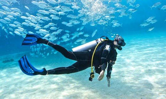 Diving Courses in Selangor, Malaysia