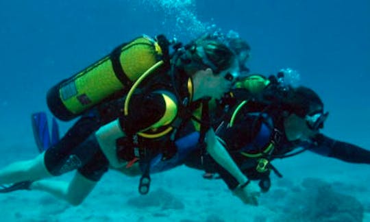 Diving Trips and Courses in Ifaty, Madagascar