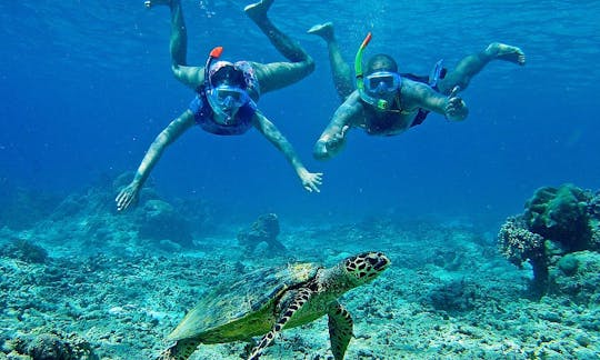 Tours de snorkel inolvidables en Surabaya, Indonesia