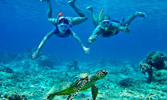 Unforgettable Snorkeling Tours in Surabaya, Indonesia