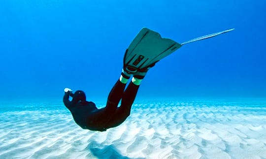 Free Dives, Master Divers, Beginners - all welcomed!