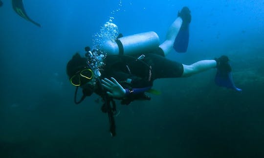 PADI Team Diving Trips and Courses at Tioman Island, Pahang on BJ3 Aka Marlin