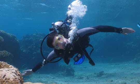 イスラエルのエイラットでの素晴らしい水中世界体験