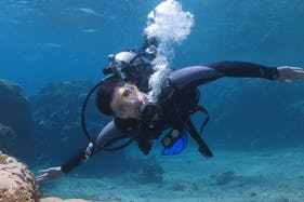 Fantastic Underwater World Experience in Eilat, Israel