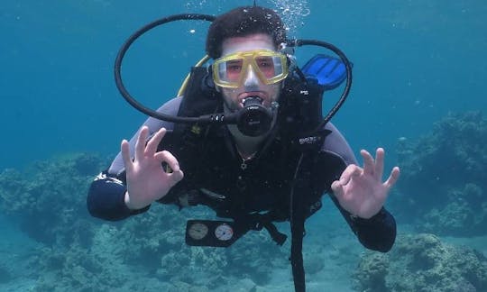 Fantastic Underwater World Experience in Eilat, Israel