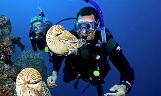 Fantastic Underwater World Experience in Eilat, Israel