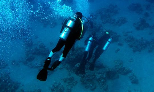 イスラエルのエイラットでの素晴らしい水中世界体験