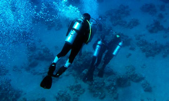 Fantastic Underwater World Experience in Eilat, Israel