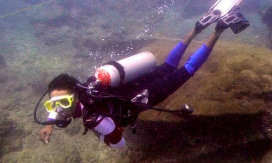Diving and Snorkeling Trips in Kalpitiya, Sri Lanka