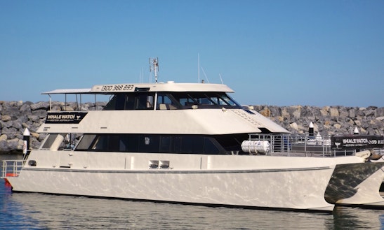 Charter On 82' Power Catamaran From Geographe, Western Australia