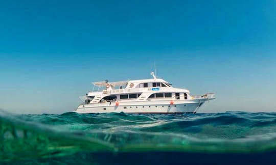 Diving Trips and Courses in South Sinai, Egypt