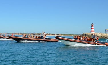 Expérience fantastique d'observation des dauphins en Algarve, au Portugal