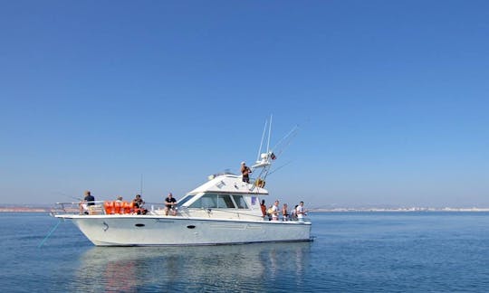 Barco | Boat "Francisco"