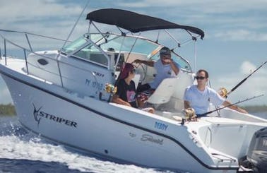 Bora Bora Fishing Charter On 22ft "Debby" Striper Boat