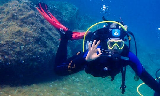Dive Trips and Scuba Dive Training for All Levels in Vis in Croatia