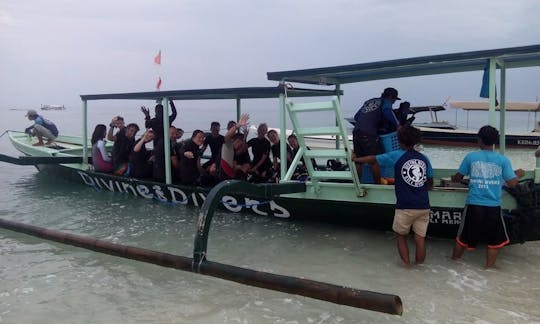 Cursos e viagens de mergulho em Nusa Tenggara, Indonésia