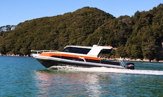 Captained Fishing Charters in Oban, Southland, New Zealand