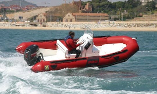 Rent a 17' Rigid Inflatable Boat in Graz, Austria