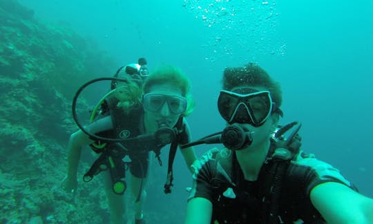 Diving Courses in Gerokgak, Bali