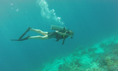 Cours de plongée à Gerokgak, Bali