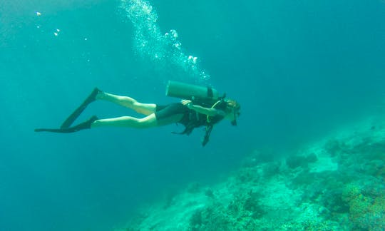 Diving Courses in Gerokgak, Bali