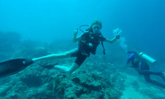 Diving Courses in Gerokgak, Bali