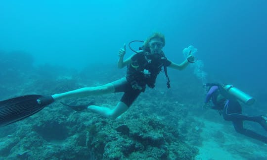 Diving Courses in Gerokgak, Bali